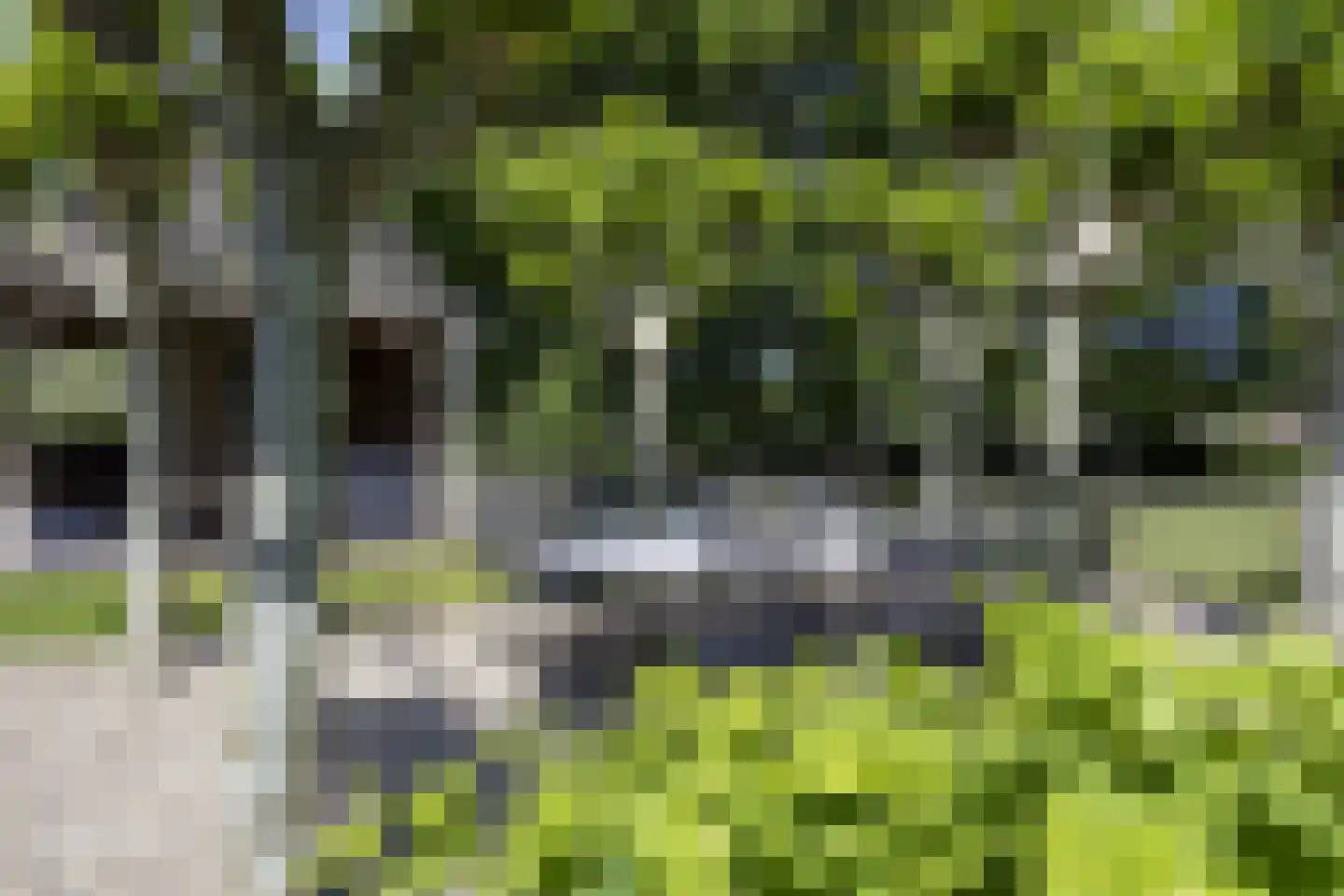 Zeegstraat 16 Gassel thumbnail 66