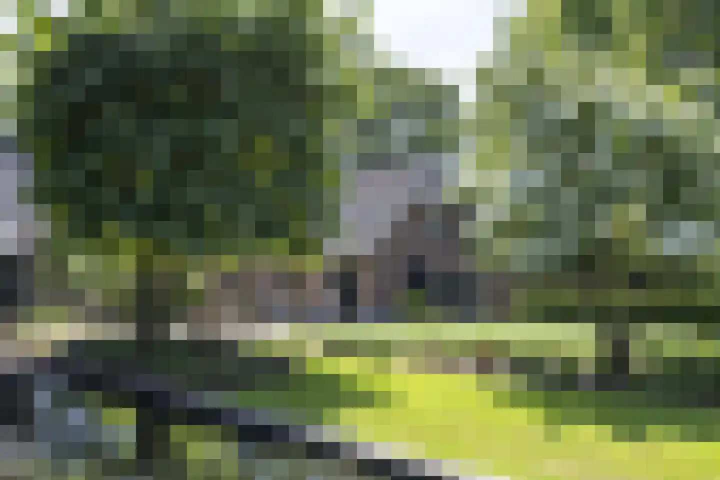 Zeegstraat 16 Gassel thumbnail 67
