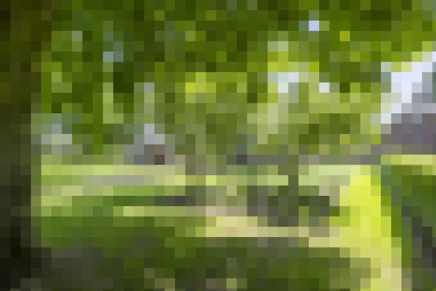 Zeegstraat 16 Gassel thumbnail 71