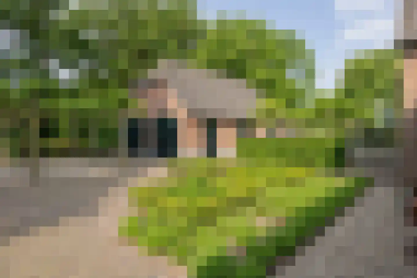 Zeegstraat 16 Gassel thumbnail 72