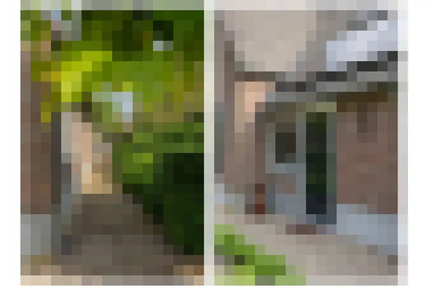Zeegstraat 16 Gassel thumbnail 76