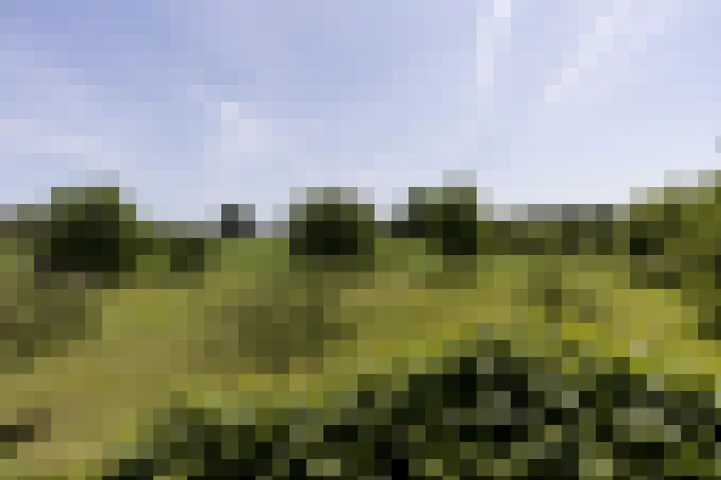 Zeegstraat 16 Gassel thumbnail 80