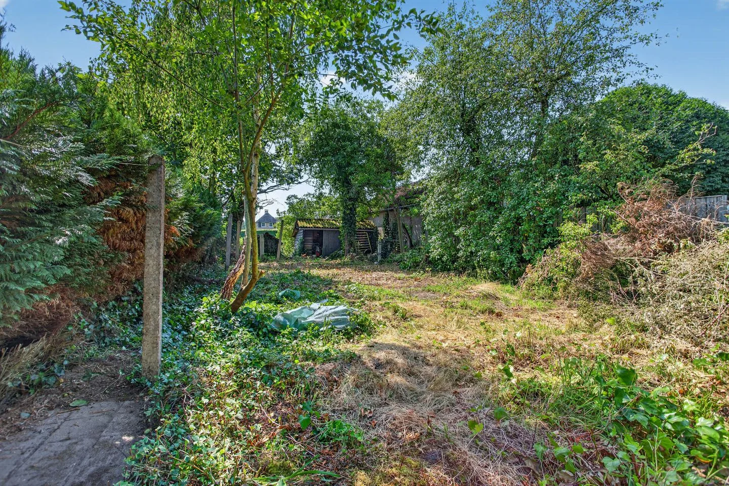 Zeegstraat 3 a Reusel thumbnail 47