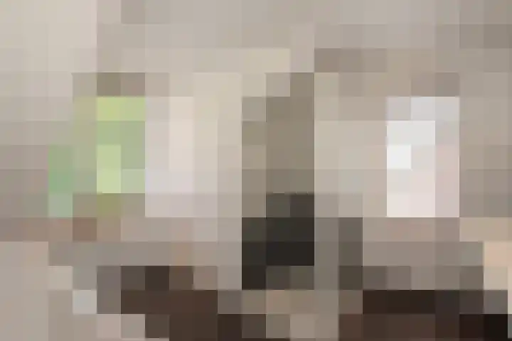 Zeegstraat 56 Reusel thumbnail 20