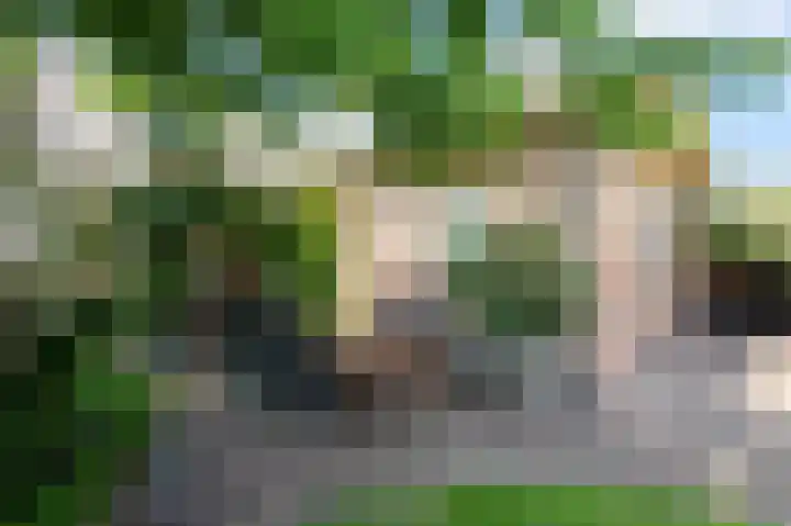 Zeegstraat 56 Reusel thumbnail 24