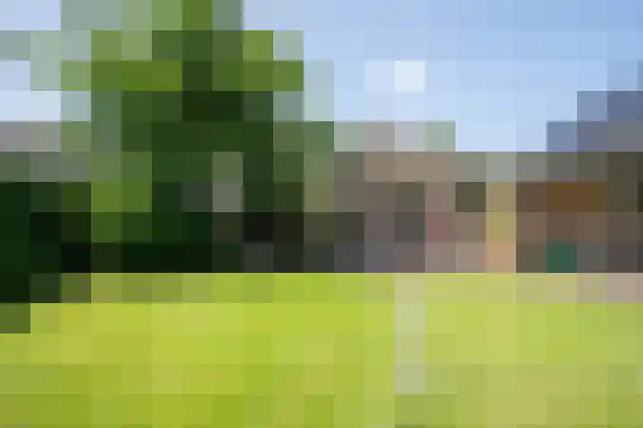 Zeegstraat 56 Reusel thumbnail 28