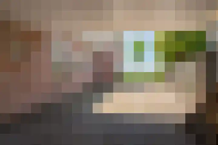 Zeegstraat 56 Reusel thumbnail 38