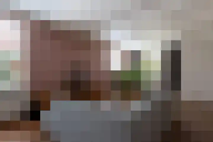 Zeegstraat 56 Reusel thumbnail 6