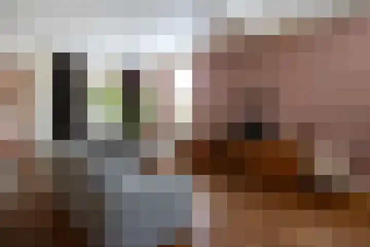Zeegstraat 56 Reusel thumbnail 8