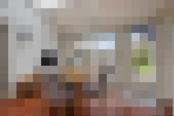 Zeegstraat 60 Reusel thumbnail 11