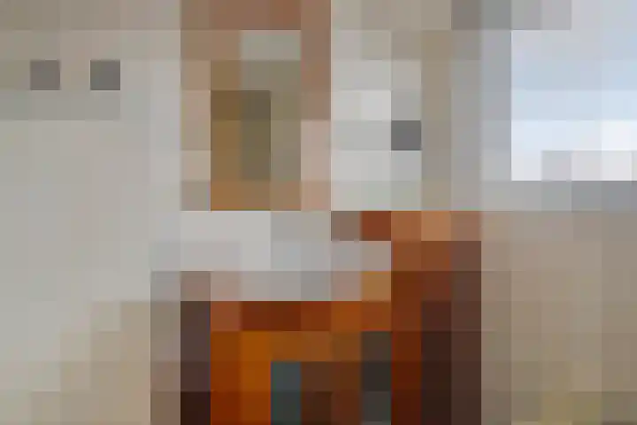 Zeegstraat 60 Reusel thumbnail 14