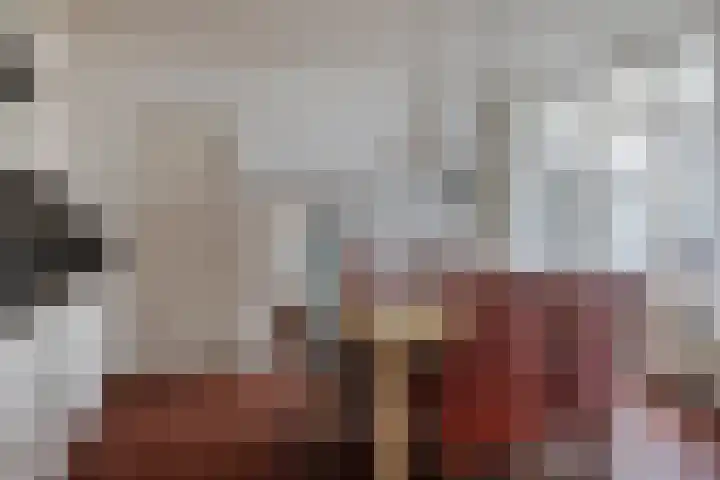 Zeegstraat 60 Reusel thumbnail 9