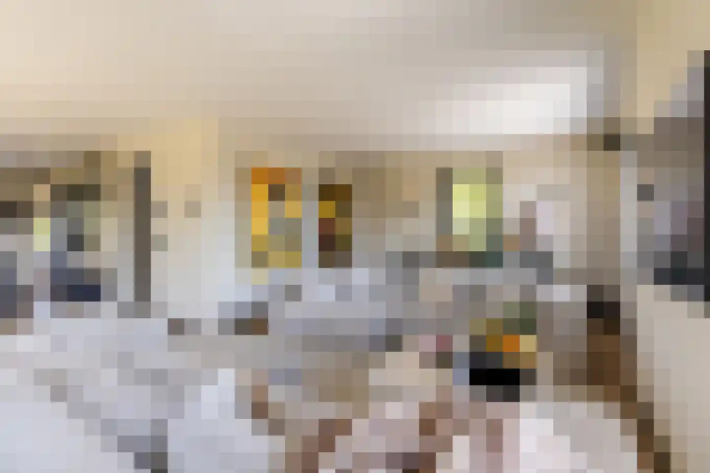Zeehoeveweg 17 Oostvoorne thumbnail 13