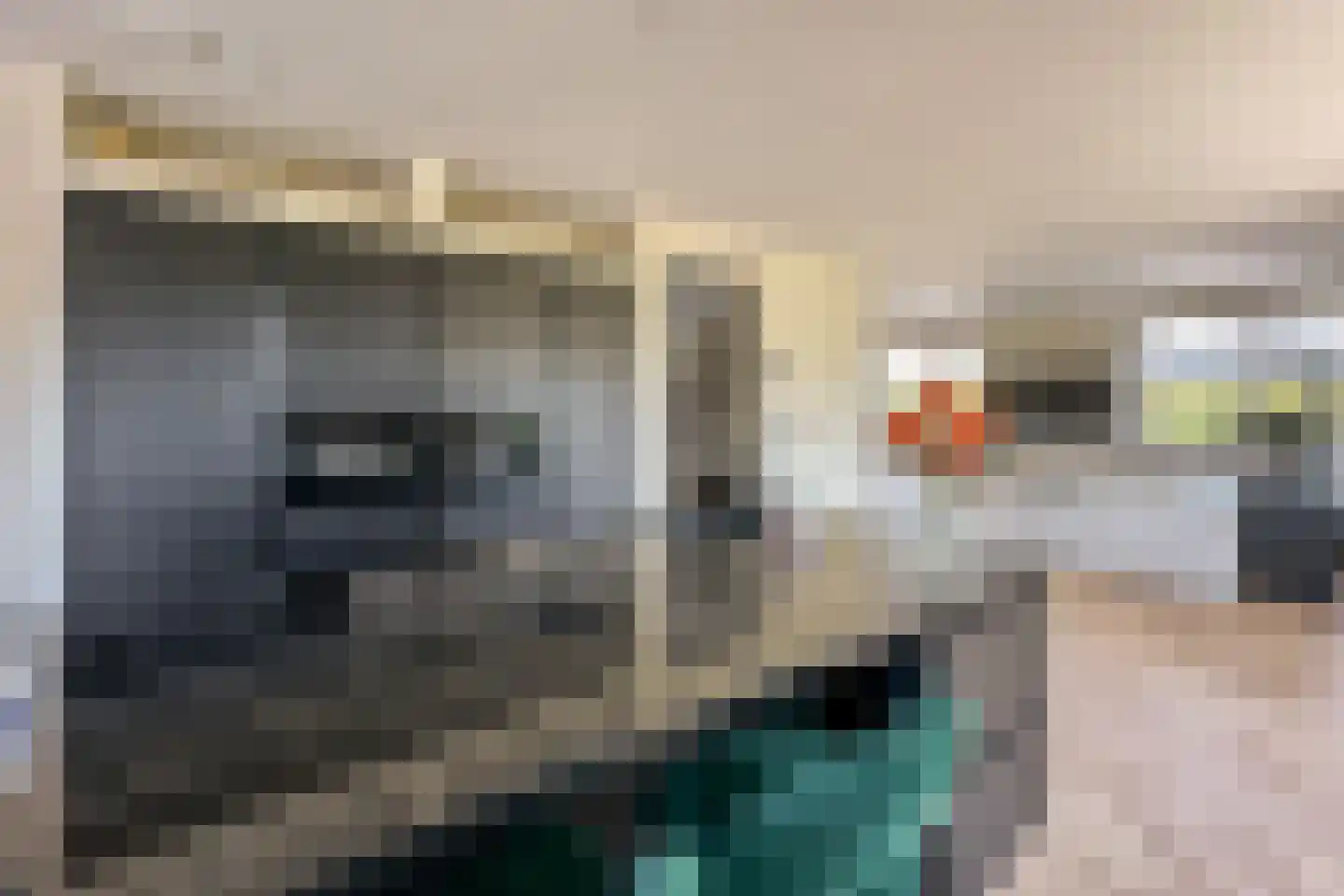Zeehoeveweg 17 Oostvoorne thumbnail 17