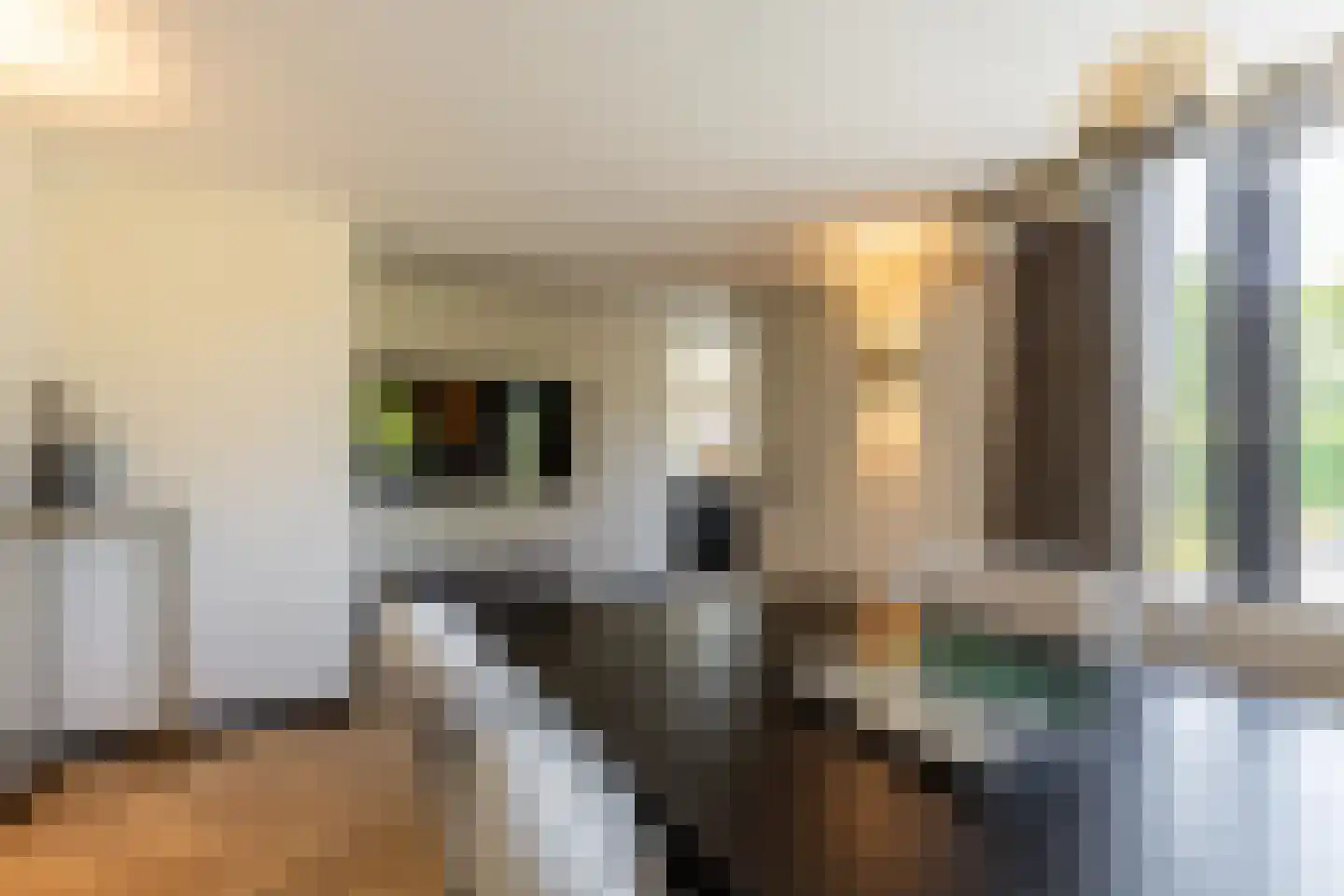Zeehoeveweg 17 Oostvoorne thumbnail 20