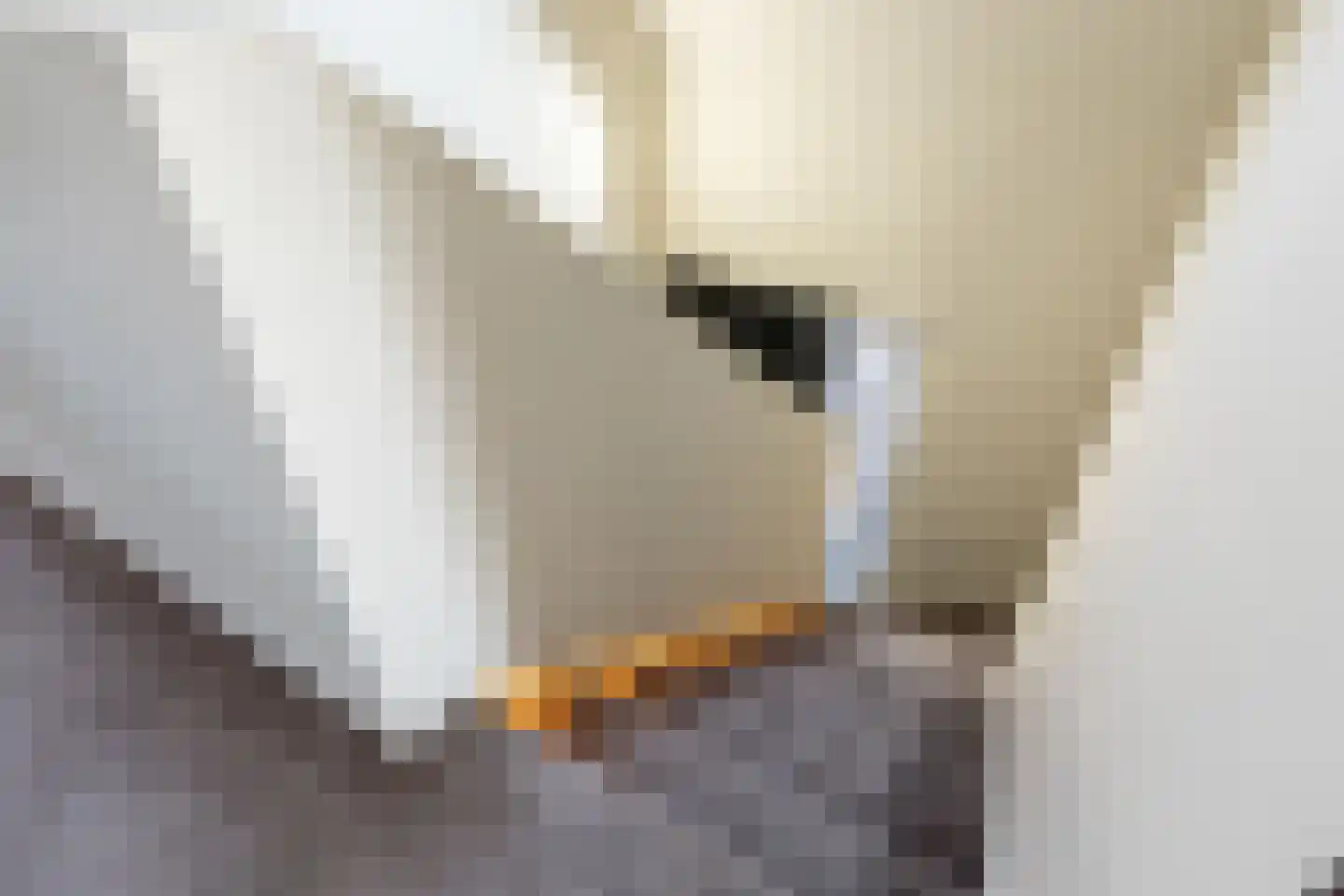 Zeehoeveweg 17 Oostvoorne thumbnail 28