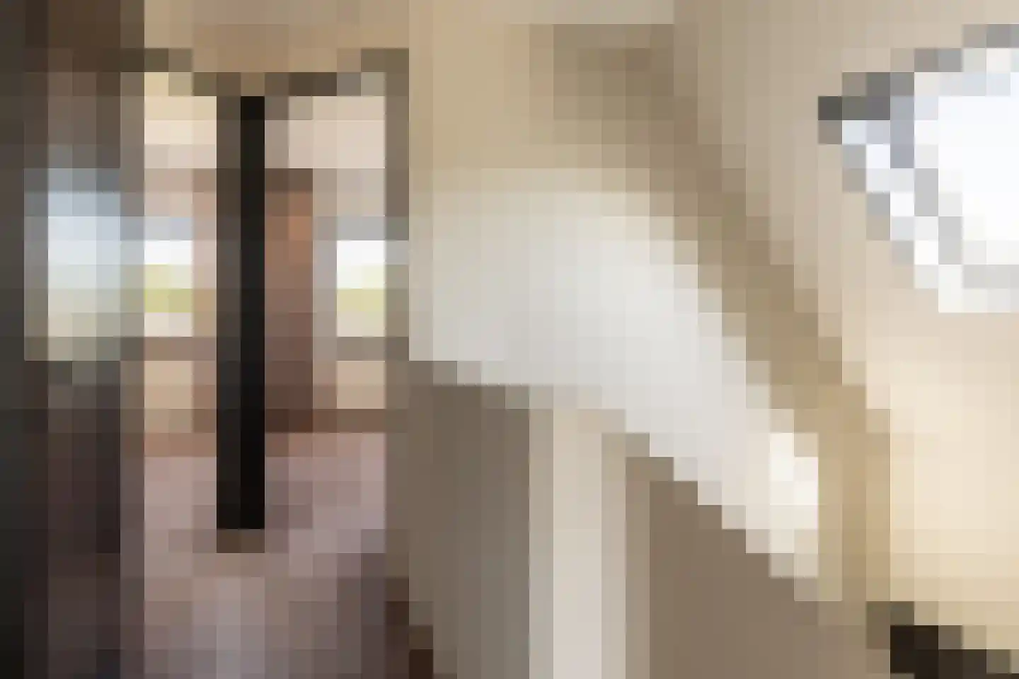 Zeehoeveweg 17 Oostvoorne thumbnail 29