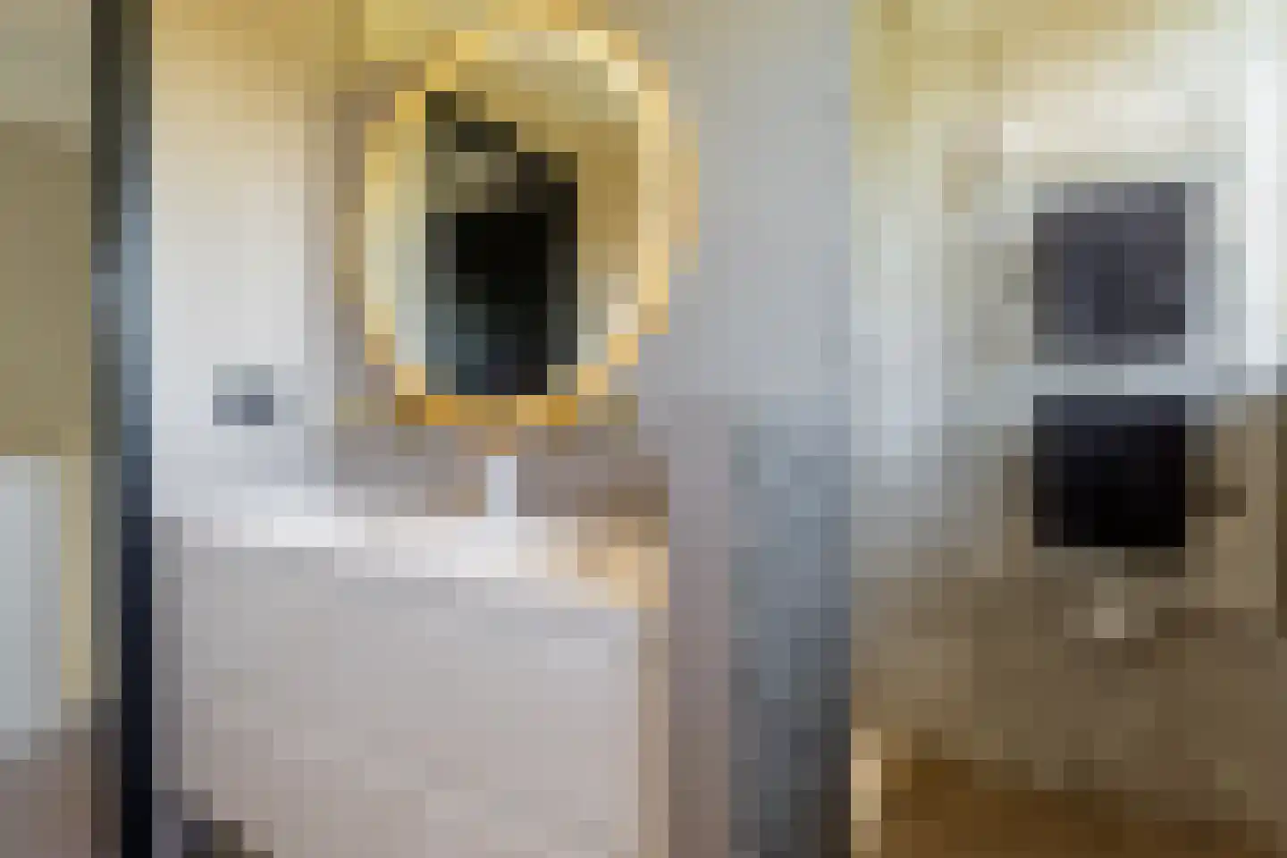 Zeehoeveweg 17 Oostvoorne thumbnail 37