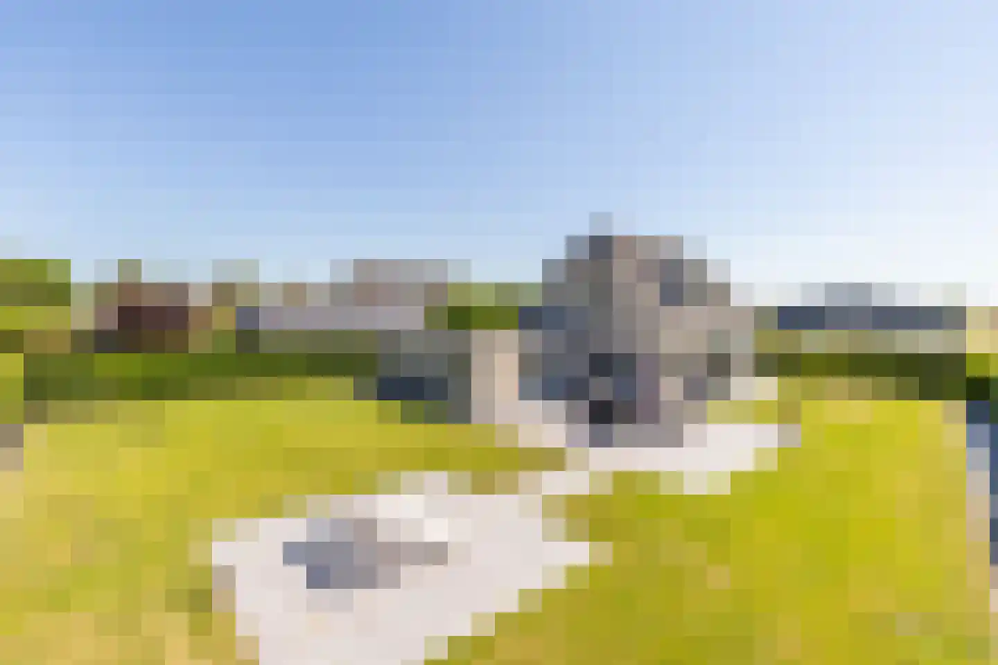 Zeehoeveweg 17 Oostvoorne thumbnail 43
