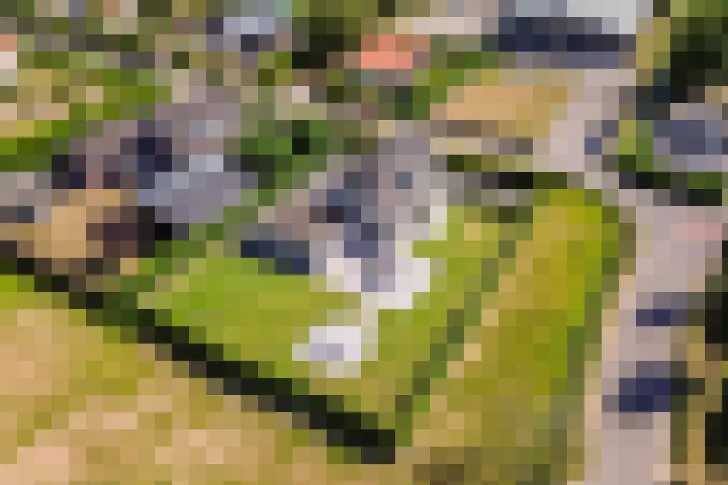 Zeehoeveweg 17 Oostvoorne thumbnail 49