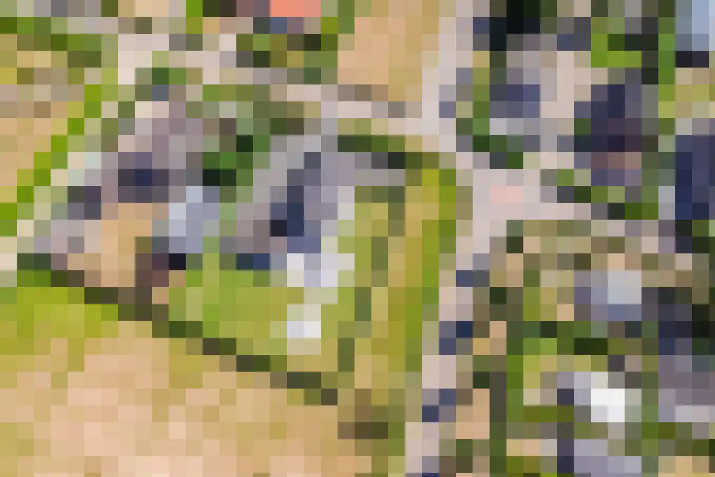 Zeehoeveweg 17 Oostvoorne thumbnail 50