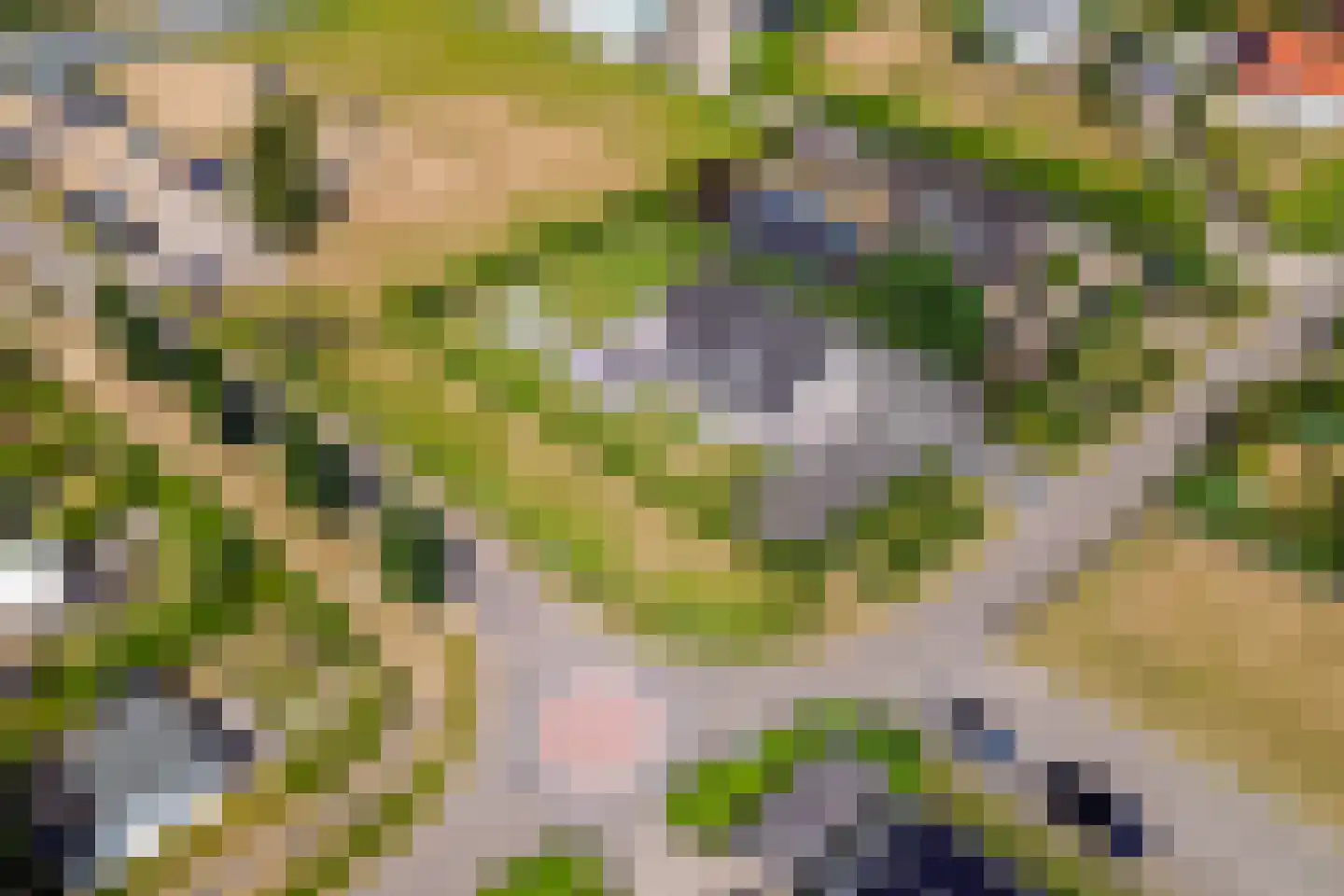 Zeehoeveweg 17 Oostvoorne thumbnail 51