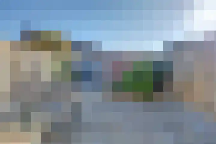 Zeehondenplaat 1 Zierikzee thumbnail 20