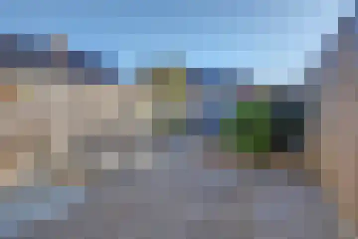 Zeehondenplaat 1 Zierikzee thumbnail 21