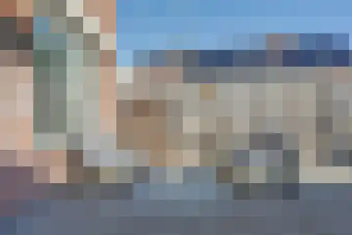 Zeehondenplaat 1 Zierikzee thumbnail 22