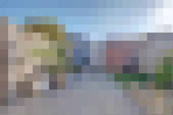 Zeehondenplaat 1 Zierikzee thumbnail 23