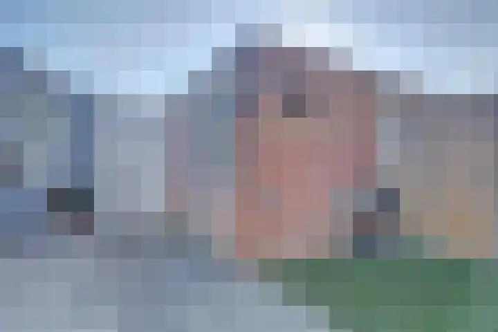 Zeehondenplaat 1 Zierikzee thumbnail 24