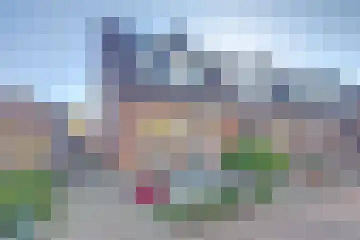 Zeehondenplaat 1 Zierikzee thumbnail 26