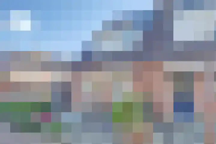 Zeehondenplaat 1 Zierikzee thumbnail 27