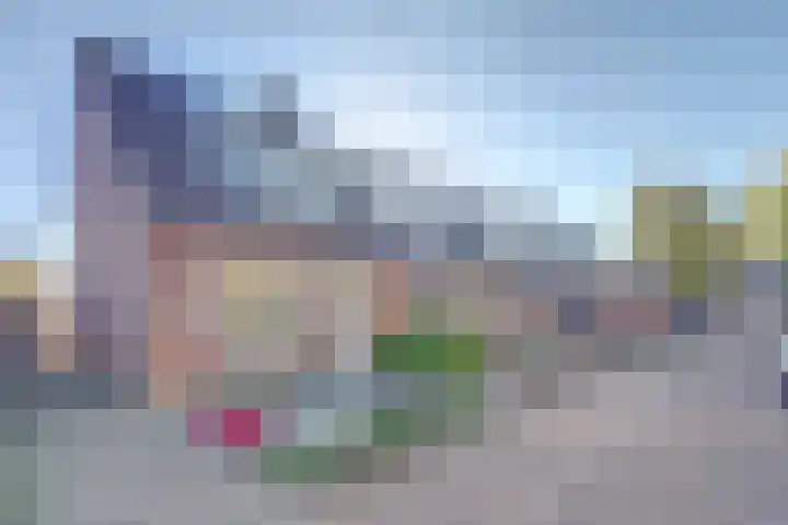 Zeehondenplaat 1 Zierikzee thumbnail 28