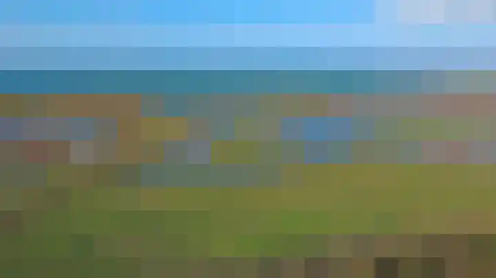Zeehondenplaat 1 Zierikzee thumbnail 30