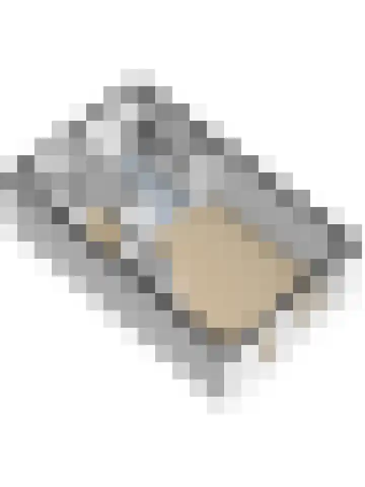 Zeehondenplaat 1 Zierikzee thumbnail 32