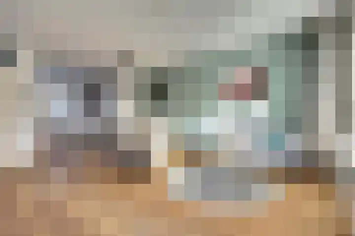 Zeehondenplaat 1 Zierikzee thumbnail 4