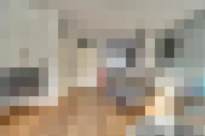 Zeehondenplaat 1 Zierikzee thumbnail 5
