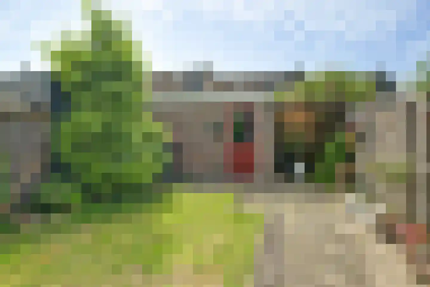 Zeehondenplaat 2 Zierikzee thumbnail 19