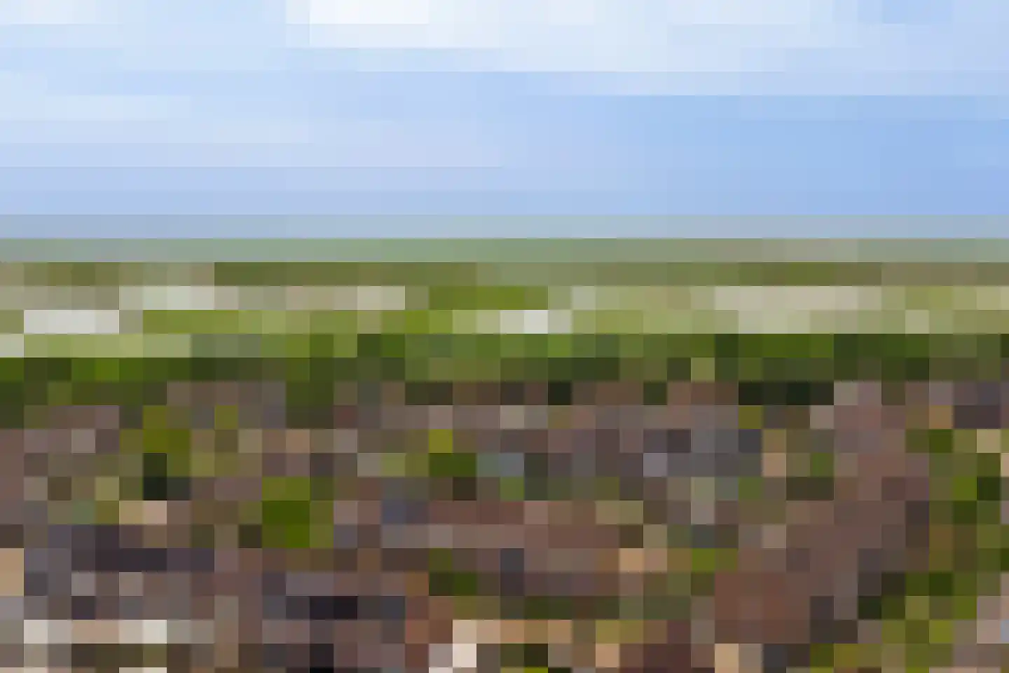 Zeehondenplaat 2 Zierikzee thumbnail 24
