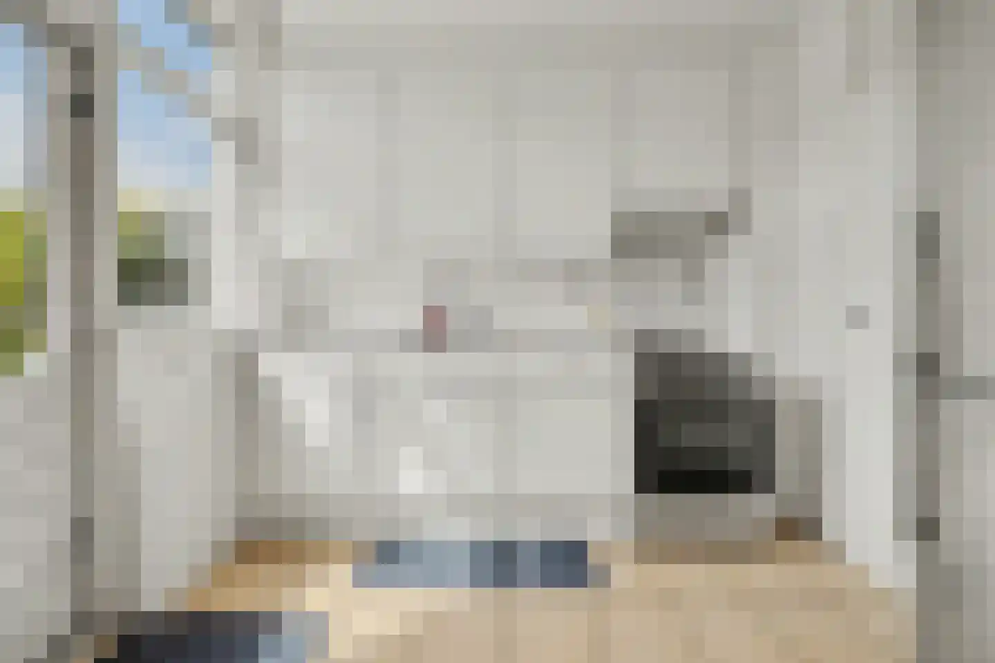 Zeehondenplaat 2 Zierikzee thumbnail 5
