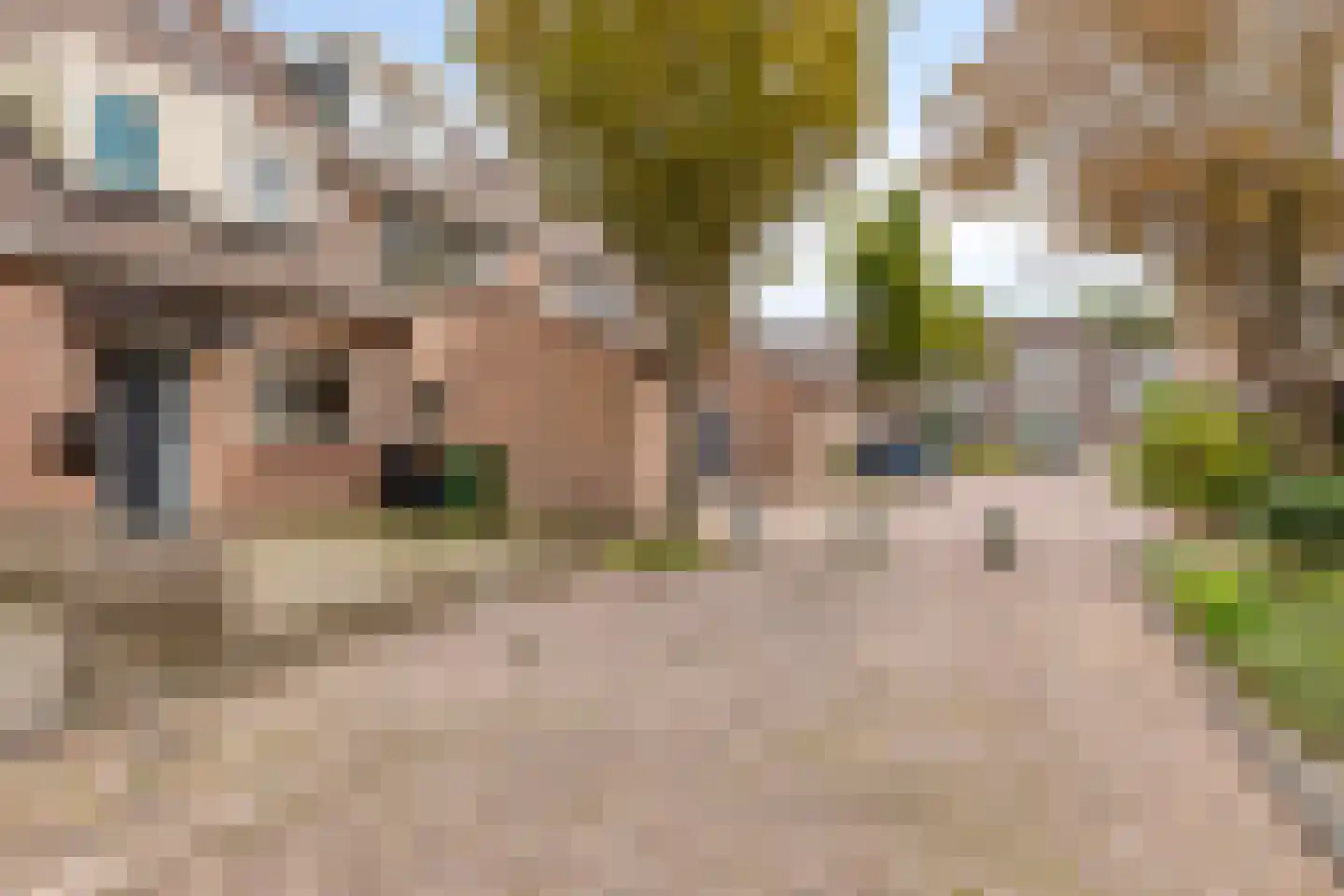 Zeehondenplaat 9 Zierikzee thumbnail 37