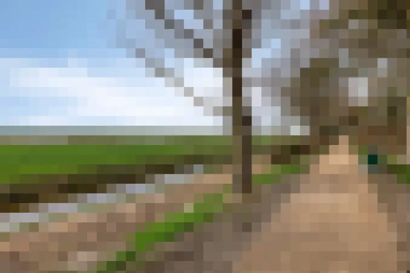 Zeehondenplaat 9 Zierikzee thumbnail 39