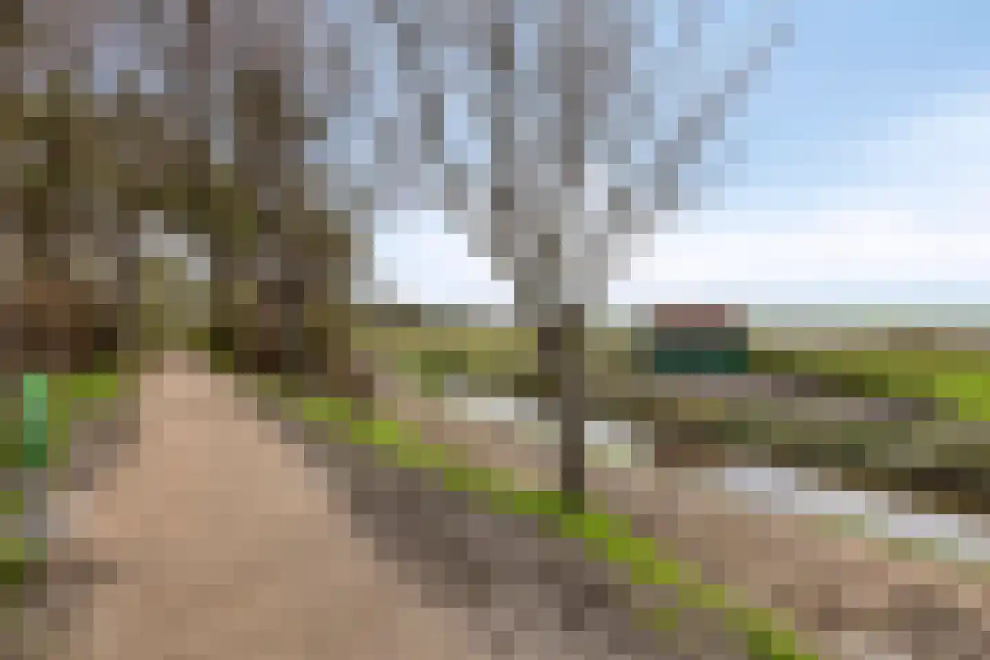 Zeehondenplaat 9 Zierikzee thumbnail 40