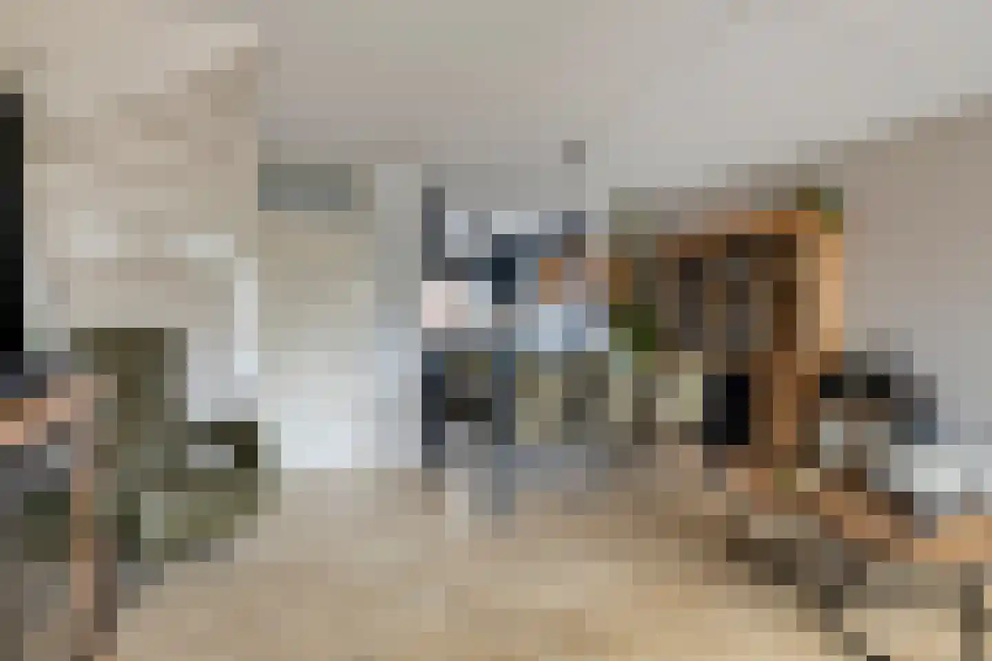 Zeehondenplaat 9 Zierikzee thumbnail 8