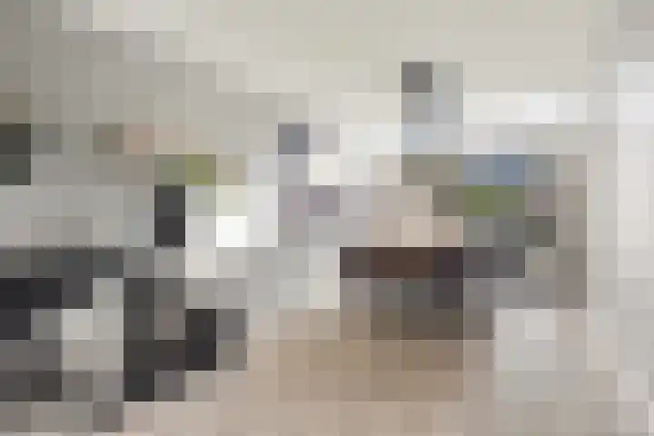 Zeehondstraat 36 Hengelo thumbnail 13