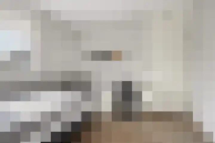 Zeehondstraat 36 Hengelo thumbnail 28
