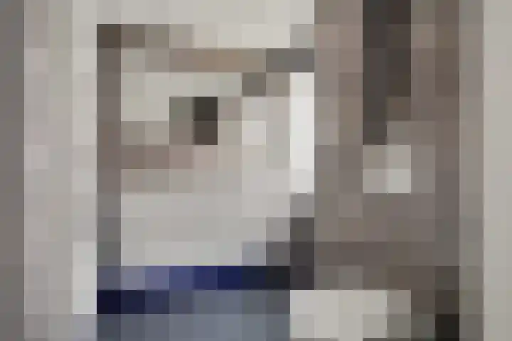 Zeehondstraat 36 Hengelo thumbnail 31
