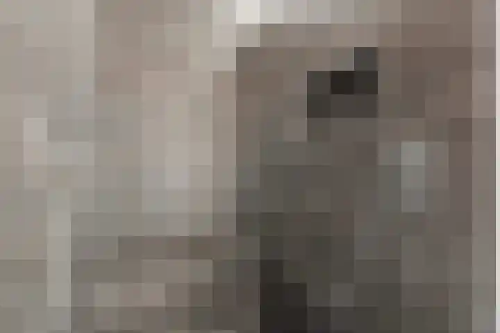 Zeehondstraat 36 Hengelo thumbnail 33