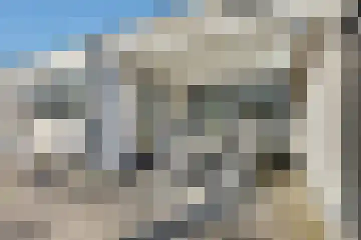 Zeehondstraat 36 Hengelo thumbnail 41